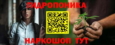 индика Абакан
