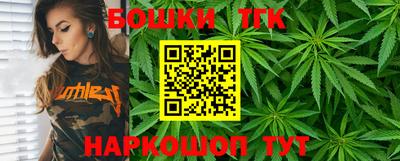 индика Абакан