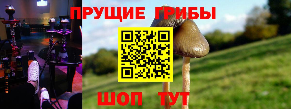 Псилоцибиновые грибы MAGIC MUSHROOMS Россия